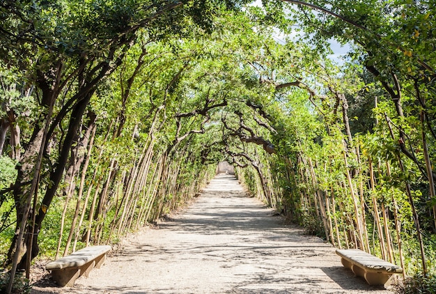 Florença, Itália. Old Boboli Gardens durante um dia ensolarado na temporada de verão