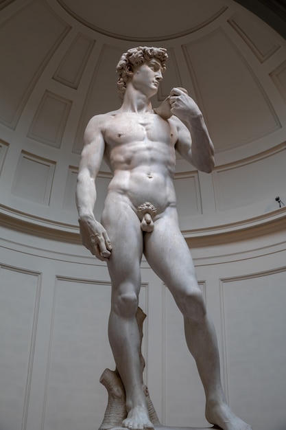 Florenz, Italien - 24. Juni 2018: Nahaufnahme der Renaissance-Skulptur ist David von Michelangelo, erstellt zwischen 1501 und 1504 in der Akademie der bildenden Künste von Florenz (Accademia di Belle Arti di Firenze)