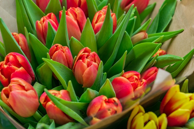 En la florería. Un surtido de flores de tulipán para la venta. Flores de primavera.