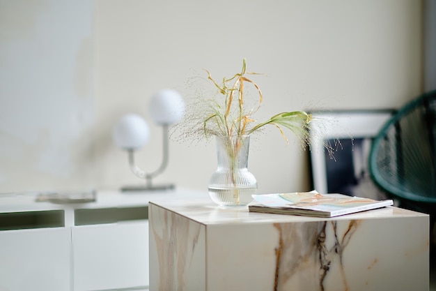 Florero decorativo con plantas secas en el fondo de un interior moderno