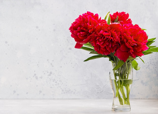 Florero con hermosas flores de peonías magentas