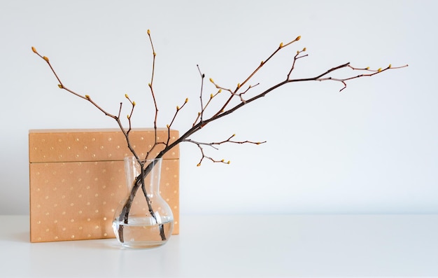 Florero de vidrio con ramas de árboles de primavera, capullos verdes y caja de regalo dorada sobre un fondo blanco Minimalismo