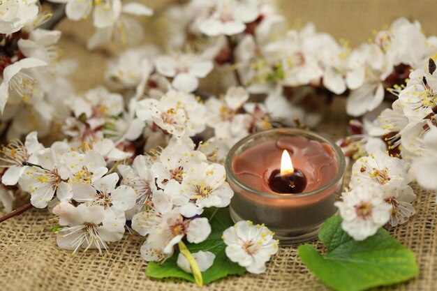 flores de albaricoque en el saco con velas y espacio para copiar