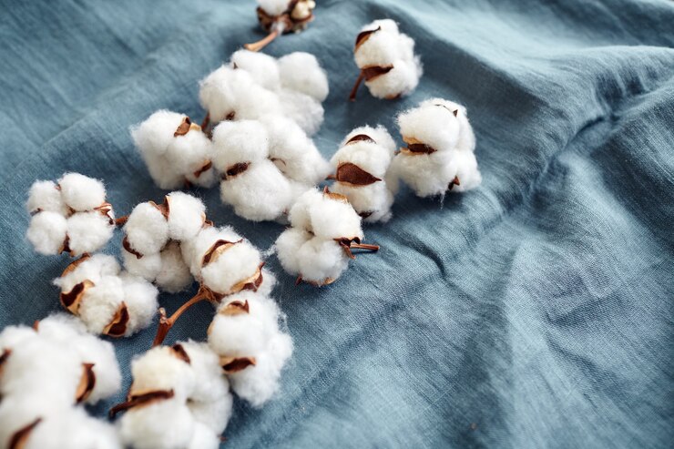 Flores de algodón blanco sobre tela azul turquesa