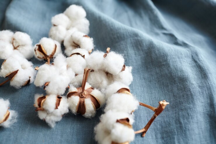 Flores de algodón blanco sobre tela azul turquesa
