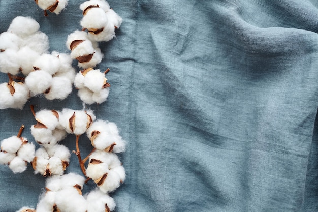 Flores de algodón blanco en la vista superior de tela azul turquesa