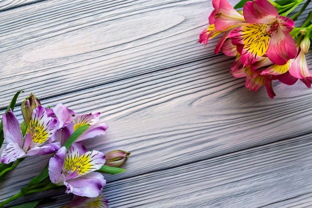 Flores de alstrameria rosadas y púrpuras sobre un fondo de madera blanca Tarjeta de felicitación plana endecha