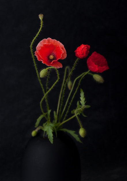 Flores amapolas en un jarrón sobre un fondo grunge negro