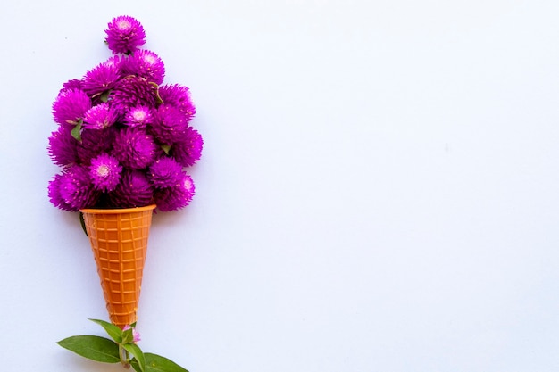 Flores de amaranto con cono de galleta