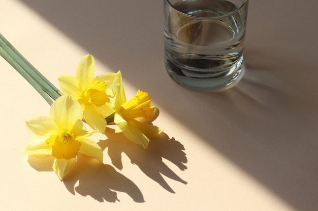 Flores amarelas, copo de água na mesa bege com sombra