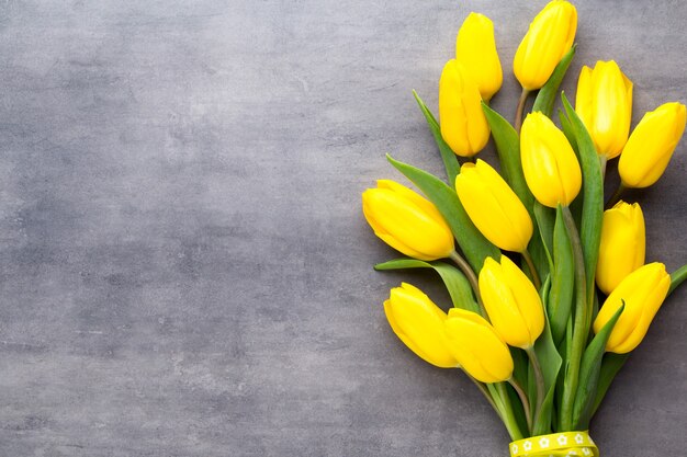 Flores amarelas da primavera, tulipa em cinza