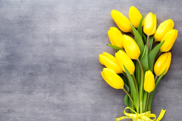 Flores amarelas da primavera, tulipa em um fundo cinza.