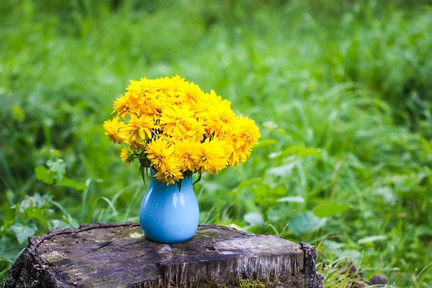 Flores amarelas de bola dourada Rudbeckia em vaso azul ao ar livre.