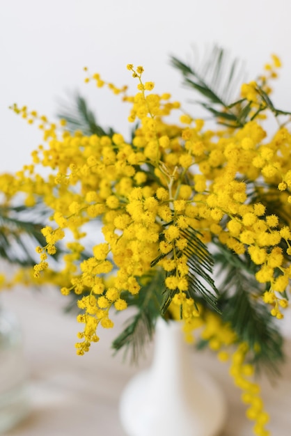 Flores amarelas de mimosa em um vaso