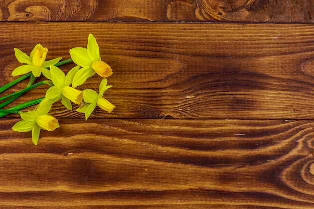 Flores amarelas de narciso em fundo de madeira Cartão de saudação para o Dia dos Namorados Dia da Mulher e Dia das Mães Espaço de cópia de vista superior