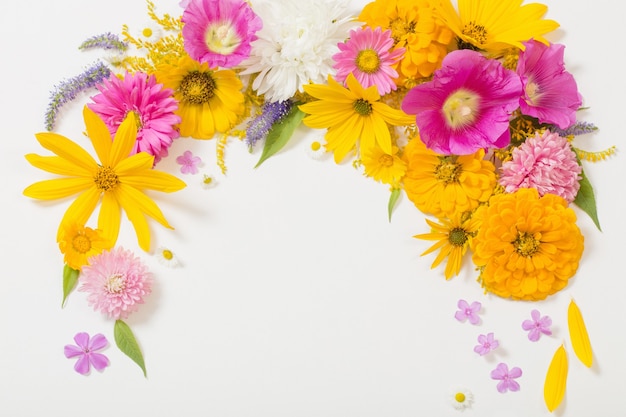 Foto flores amarelas e rosa em fundo branco