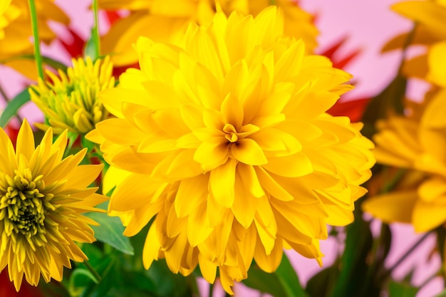 Flores amarelas e vermelhas do buquê de verão em um fundo brilhante Crisântemos e dálias fecham