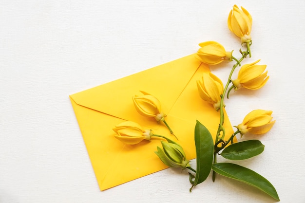 Flores amarelas em envelope amarelo