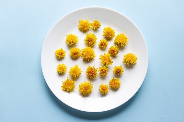 Flores amarelas em forma de dente-de-leão repousam em uma placa plana branca em azul pastel