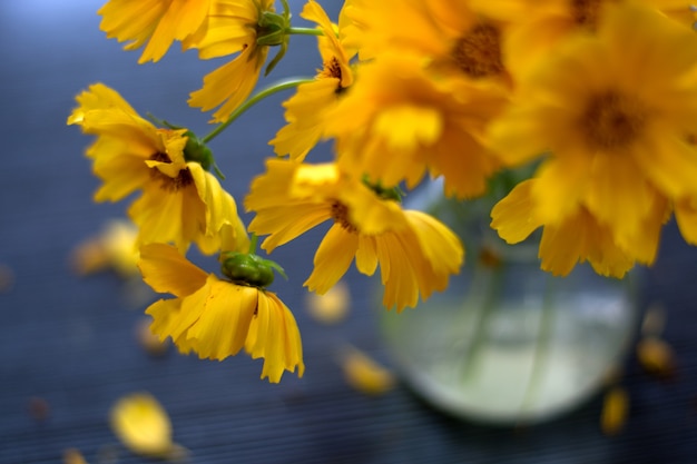 Flores amarelas, margaridas em vaso seletivo foco suave