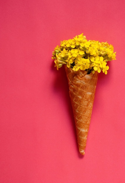 Flores amarelas na casquinha de sorvete em um fundo de framboesa.