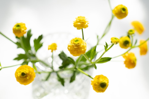 Flores amarelas pequenas dos botões de ouro no vaso de vidro