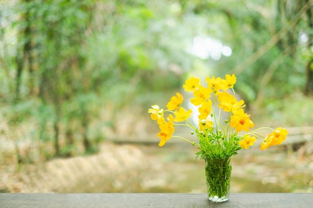 Foto flores amarillas del cosmos en florero de madera contra el fondo de la naturaleza. enfoque selectivo