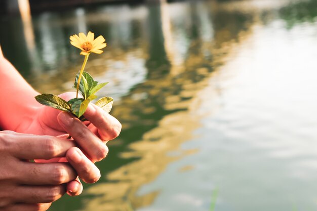 Las flores amarillas están en manos de la niña que se las da a todos.