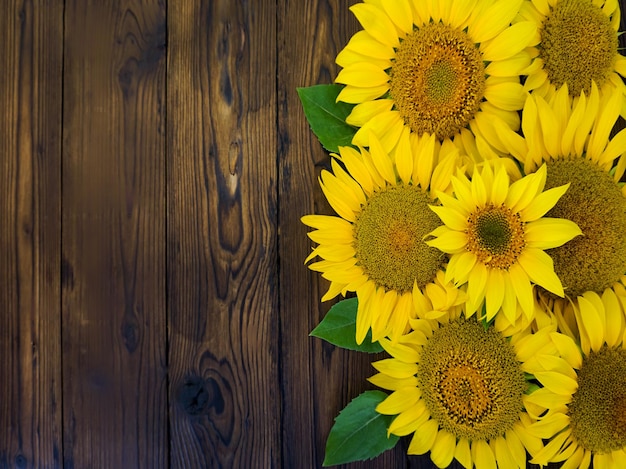 Flores amarillas de girasol yacen sobre un fondo de madera