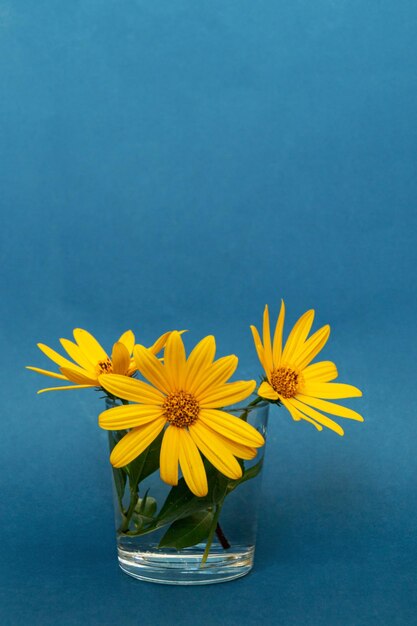 Flores amarillas en un jarrón de vidrio contra un fondo azul