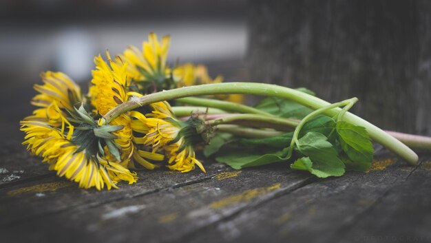 Flores amarillas en una mesa de madera