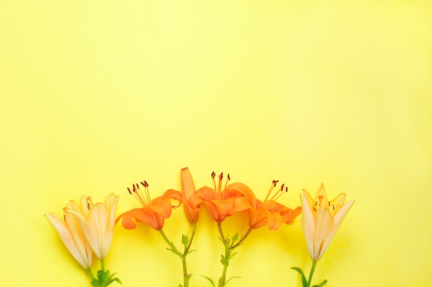 Foto flores amarillas y naranjas brillantes