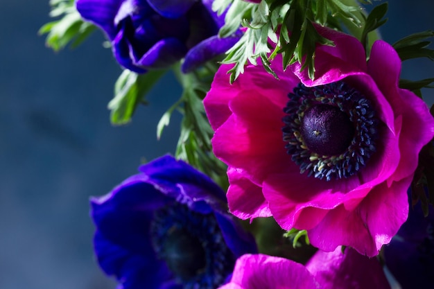 Flores de anémonas sobre fondo de piedra