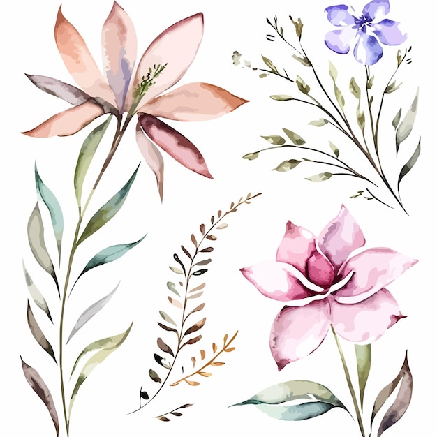 Flores aquareladas sobre um fundo branco