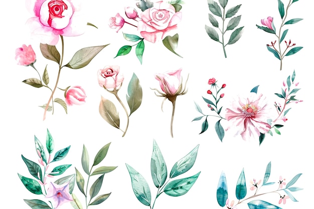 Flores aquarelas arte detalhada