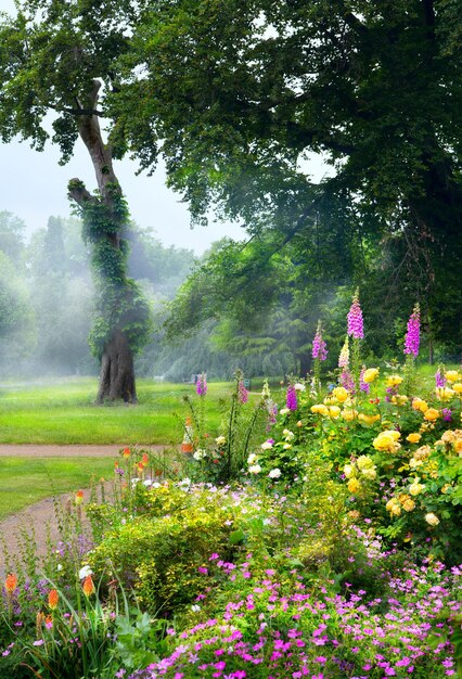 Foto flores de arte por la mañana en un parque inglés