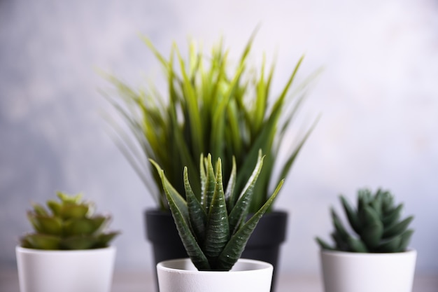 Flores artificiais grama forma diferente em uma panela na mesa de madeira fechar