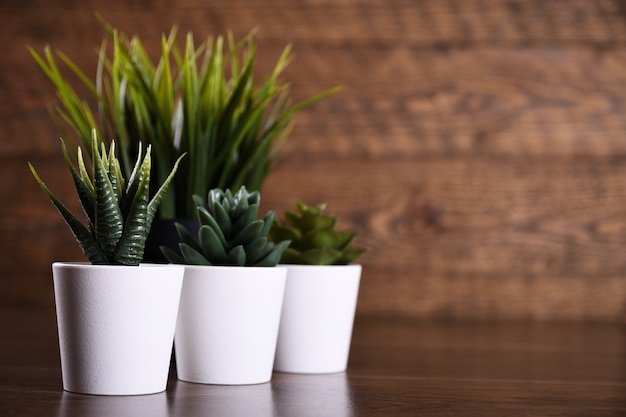 Flores artificiales hierba diferente forma en una maceta sobre fondo de madera de cerca con copia espacio y texto