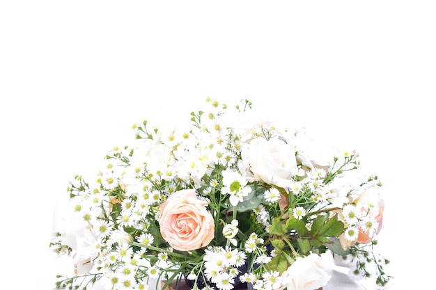 Flores de aster aisladas en un fondo blanco en una toma de estudio macro