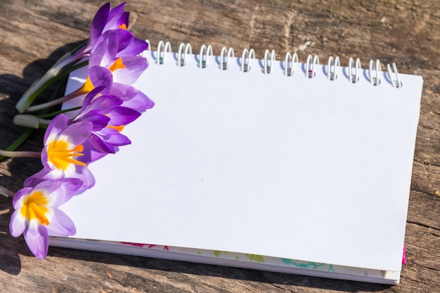 Flores de azafrán púrpura y bloc de notas en blanco sobre fondo de madera rústica