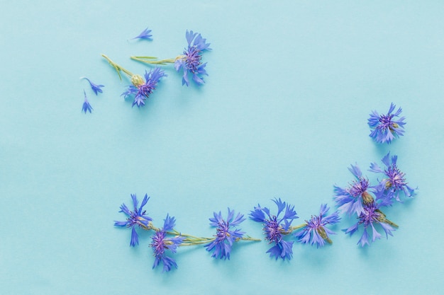 Foto flores azuis em fundo de papel azul