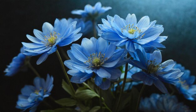 Flores azules en el fondo negro salvapantallas