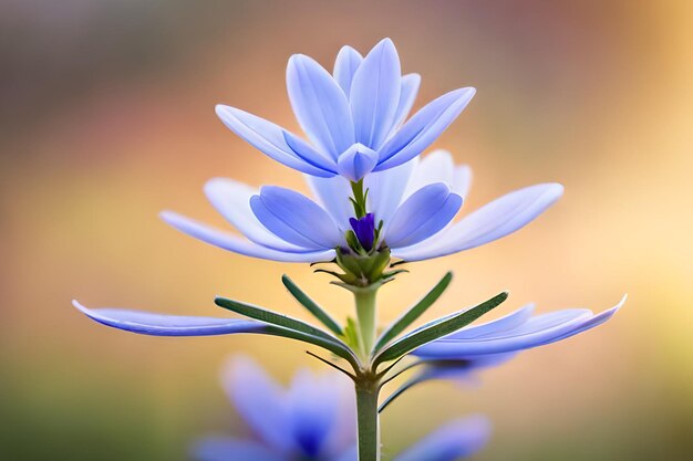 Flores azules en el jardín