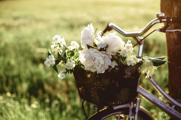 Flores y bicicleta en la parte posterior de la luz del sol.