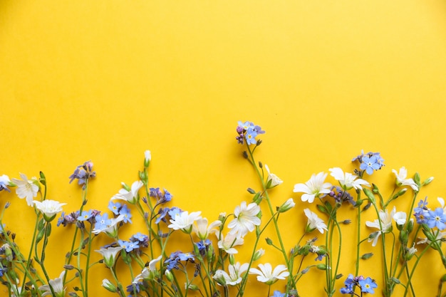 Flores blancas y azules sobre un fondo amarillo jugoso