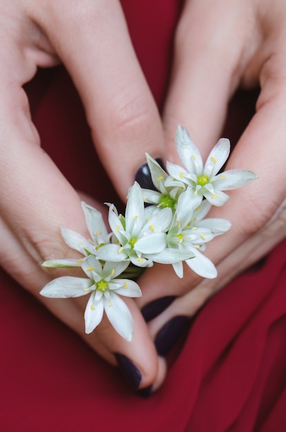 Flores blancas en manos de mujer.