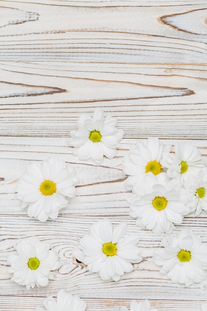 Flores blancas en la mesa de madera