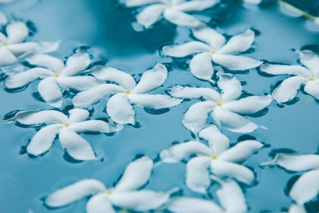 Flores blancas en primer plano de agua azul