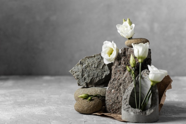 Foto flores blancas con rocas y espacio de copia