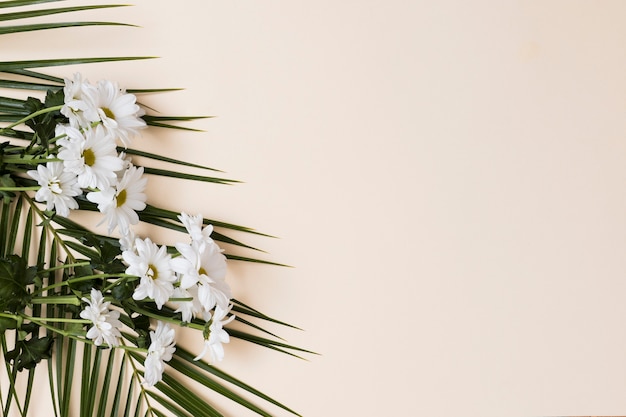 Foto flores blancas sobre fondo beige